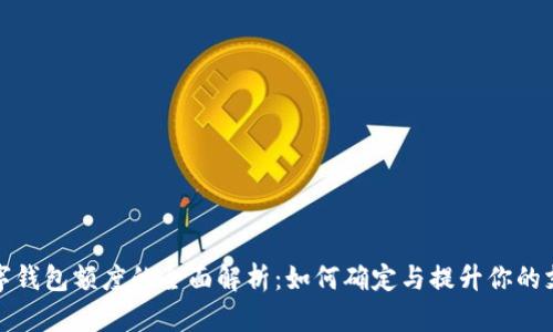 银行数字钱包额度的全面解析：如何确定与提升你的支付能力