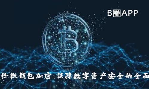 怎样给微钱包加密：保障数字资产安全的全面指南