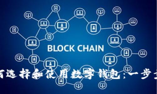 : 如何选择和使用数字钱包：一步步指南