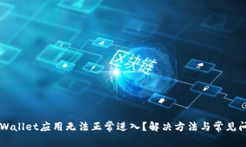 为何TPWallet应用无法正常进入?解决方法与常见问题解析