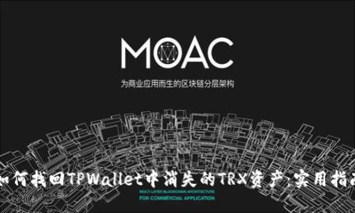 如何找回TPWallet中消失的TRX资产:实用指南