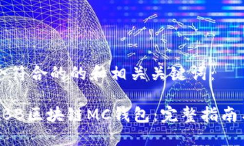 以下是一个符合的的和相关关键词:
如何开发ABB区块链MC钱包:完整指南与最佳实践