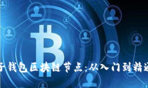 如何搭建麦子钱包区块链节点:从入门到精通的完整指南