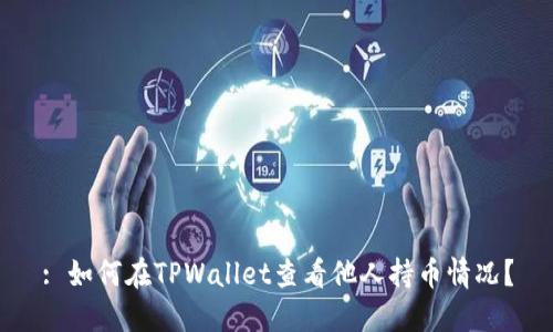 : 如何在TPWallet查看他人持币情况?