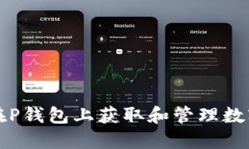 如何在P钱包上获取和管理数字资产