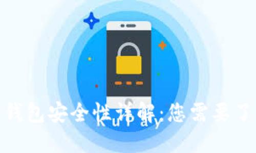 银行数字钱包安全性详解:您需要了解的一切