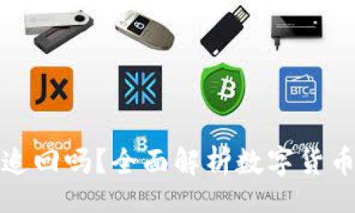 kyanqi/kyanqi  
tpwallet转账能追回吗？全面解析数字货币转账的不可逆性
