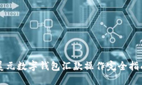 美元数字钱包汇款操作完全指南