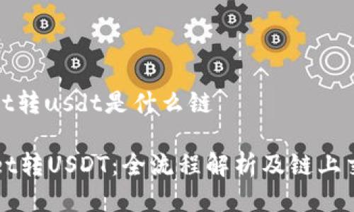 tpwallet转usdt是什么链
TPWallet转USDT:全流程解析及链上交换方式