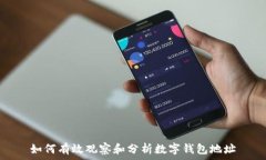  如何有效观察和分析数字钱包地址