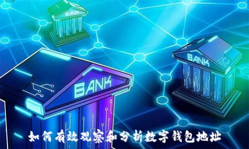 如何有效观察和分析数字钱包地址