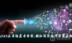 tpwallet火币链屎币分析：揭秘低价值代