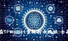 如何在TPWallet查询持币地址：全面指南