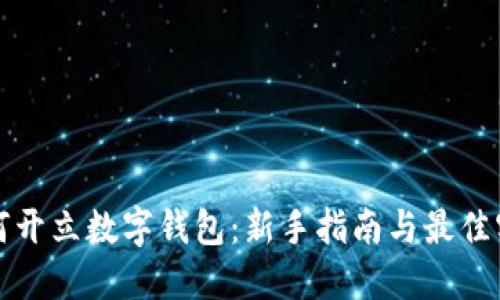 如何开立数字钱包:新手指南与最佳实践