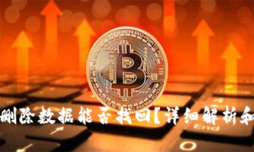 tpwallet删除数据能否找回?详细解析和解决方案