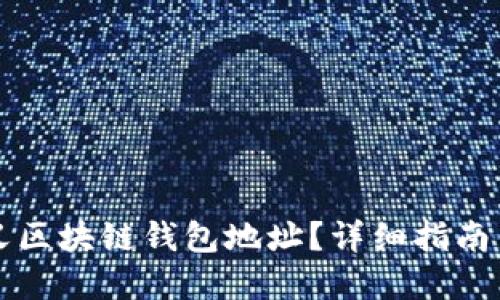 如何自定义区块链钱包地址?详细指南与最佳实践