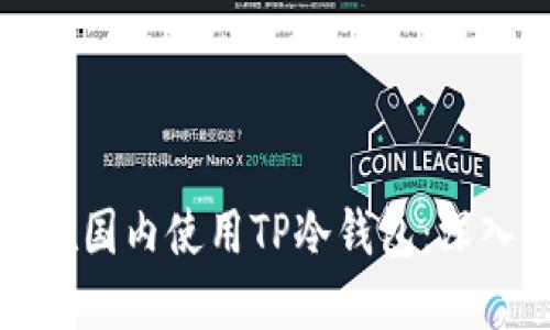 如何在国内使用TP冷钱包:深入指南