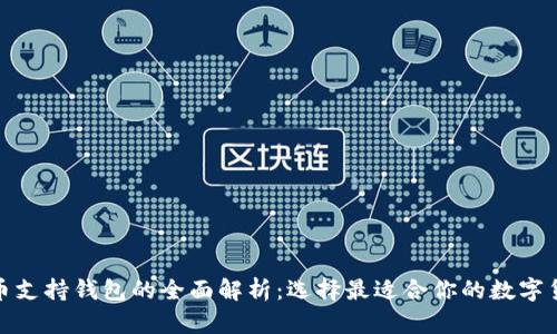 数字货币支持钱包的全面解析:选择最适合你的数字货币钱包