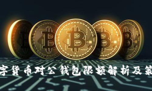 数字货币对公钱包限额解析及策略