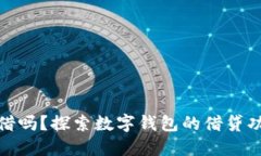 数字钱包还能借吗？探索数字钱包的借