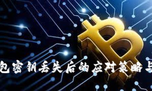 区块链钱包密钥丢失后的应对策略与解决方案