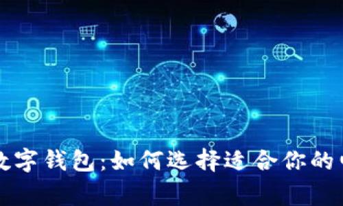 国际常用的数字钱包:如何选择适合你的电子支付工具