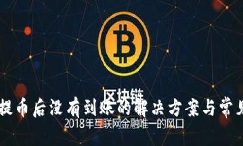 TPWallet提币后没有到账的解决方案与常见问题解析