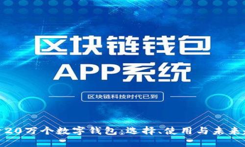 探索20万个数字钱包:选择、使用与未来趋势