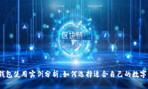 数字钱包使用实例分析:如何选择适合自己的数字钱包?