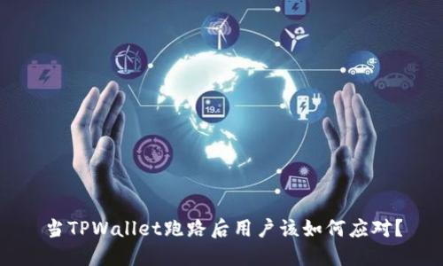 当TPWallet跑路后用户该如何应对？