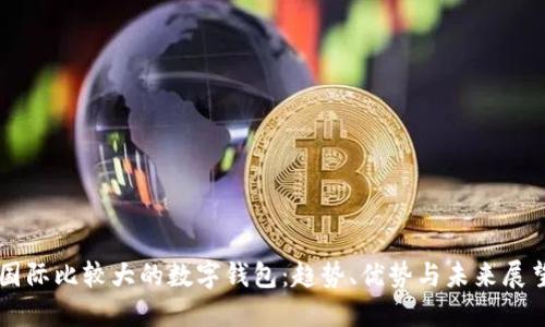 国际比较大的数字钱包:趋势、优势与未来展望
