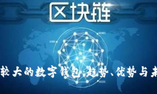 国际比较大的数字钱包:趋势、优势与未来展望