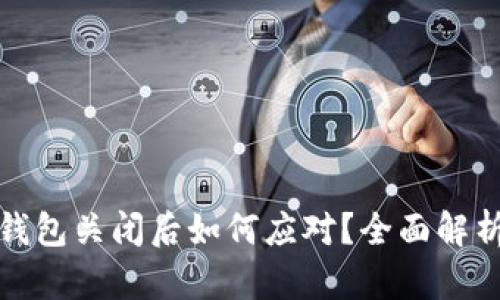 天府通数字钱包关闭后如何应对?全面解析与解决方案
