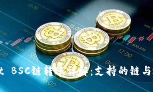 TPWallet BSC链转账详解:支持的链与地址一览