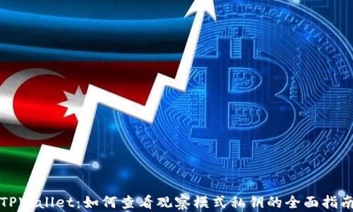 TPWallet:如何查看观察模式私钥的全面指南