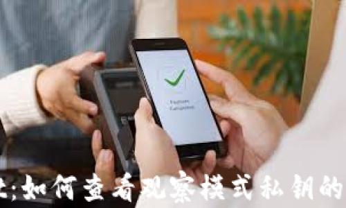 TPWallet:如何查看观察模式私钥的全面指南