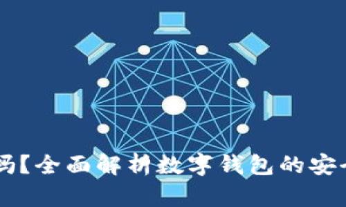 TPWallet安全吗?全面解析数字钱包的安全性与风险防范