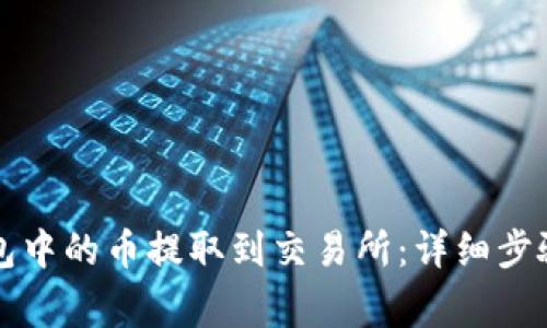 如何将TP钱包中的币提取到交易所:详细步骤与注意事项