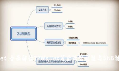 TPWallet:全面解读TPWallet背后的智能链与BNB链的关系