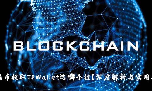 狗狗币提取TPWallet选哪个链?深度解析与实用指南