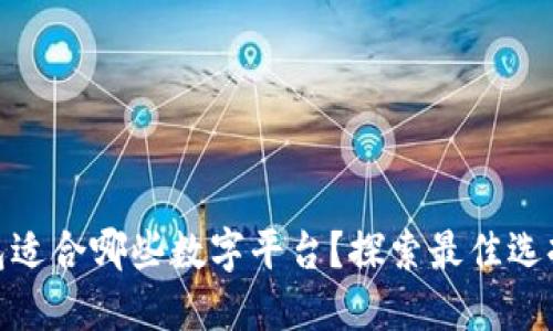 数字钱包适合哪些数字平台?探索最佳选择与优势