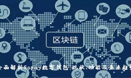 全面解析Sopay数字钱包:现状、功能及未来趋势