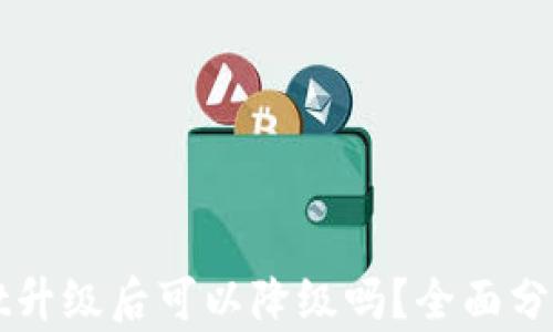 TPWallet升级后可以降级吗?全面分析与解答
