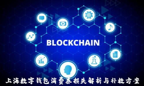 上海数字钱包消费券损失解析与补救方案