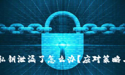TPWallet私钥泄漏了怎么办?应对策略与保护方法
