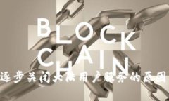TPWallet 逐步关闭大陆用户服务的原因及