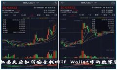 手机丢失后如何安全找回TP Wallet中的数
