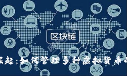 设置：

数字钱包的崛起：如何管理多种虚拟货币的风险与策略
