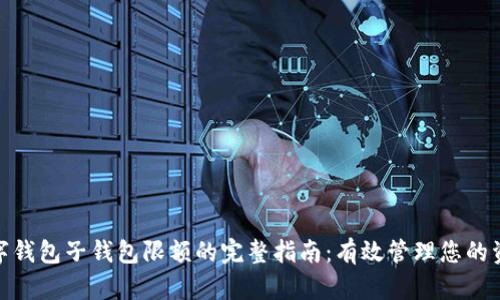 数字钱包子钱包限额的完整指南:有效管理您的资金