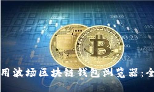 如何使用波场区块链钱包浏览器:全面指南